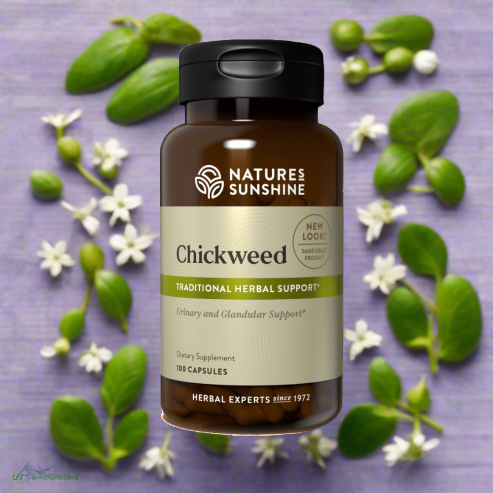 Chickweed is used to support the urinary and glandular systems. It may help with fat digestion and appetite regulation.