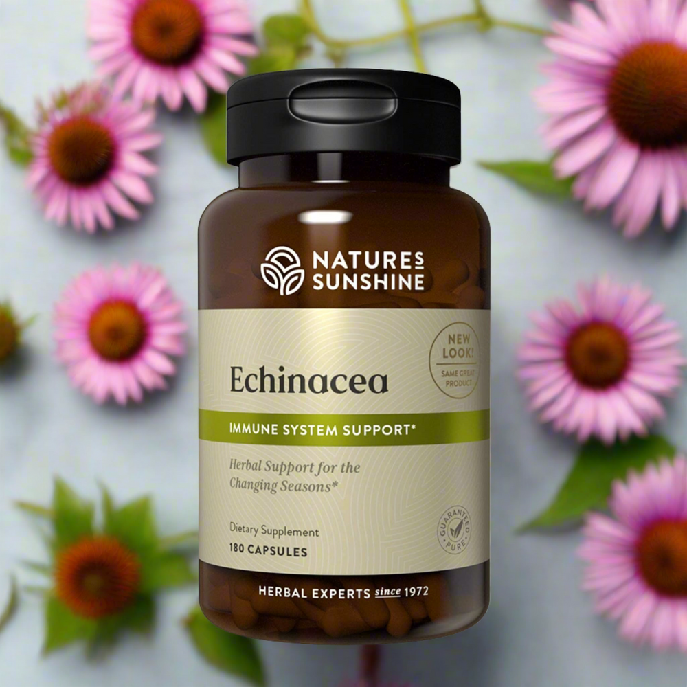 Full of polysaccharides, glycoproteins, alkamides, volatile oils, and flavonoids, echinacea purpurea has been scientifically proven to nourish the immune system and to have antimicrobial, anti-inflammatory, and antioxidant benefits. Nature’s Sunshine Echinacea Purpurea capsules are 400 mg of the plant’s purple flowers and root.