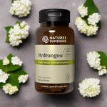 Hydrangea root supports the urinary system as it possesses natural solvent qualities that may be useful to the kidneys.