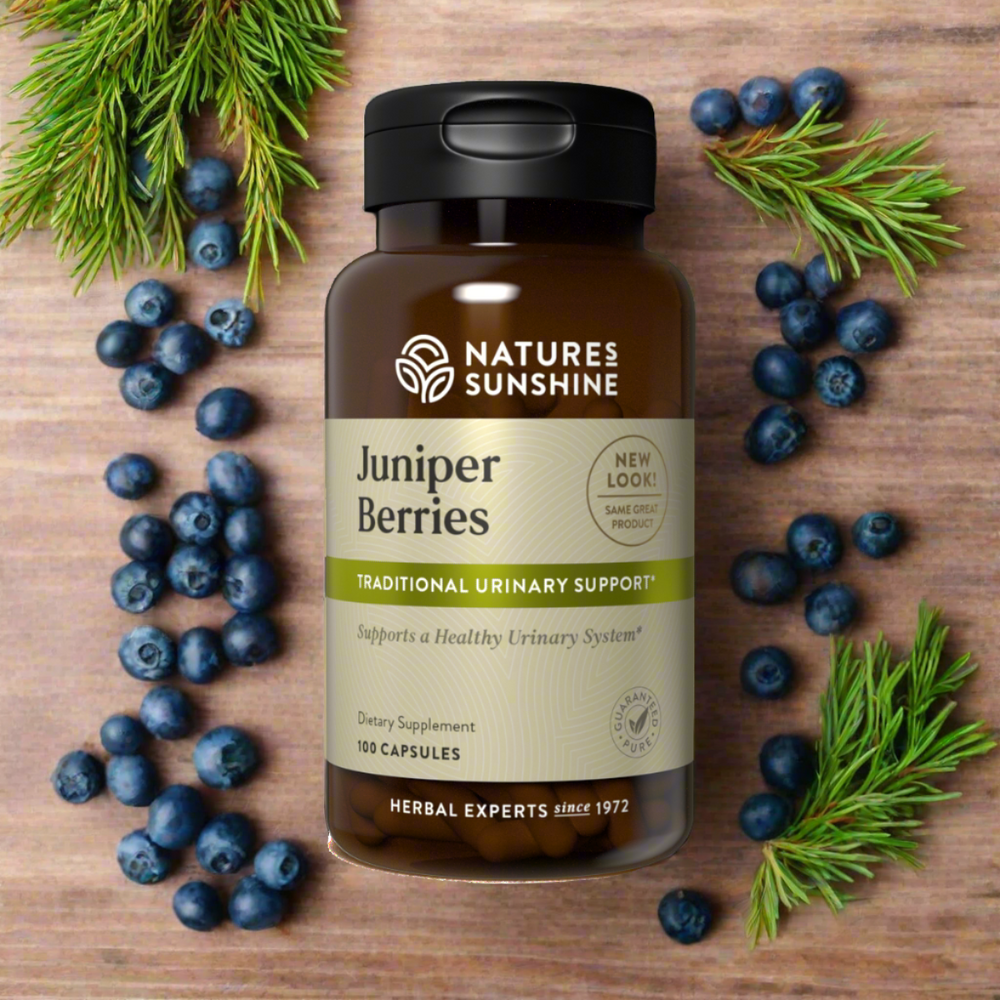 Juniper berries offer nutritional support to the urinary system by helping the body maintain proper fluid balance and normal levels of uric acid.