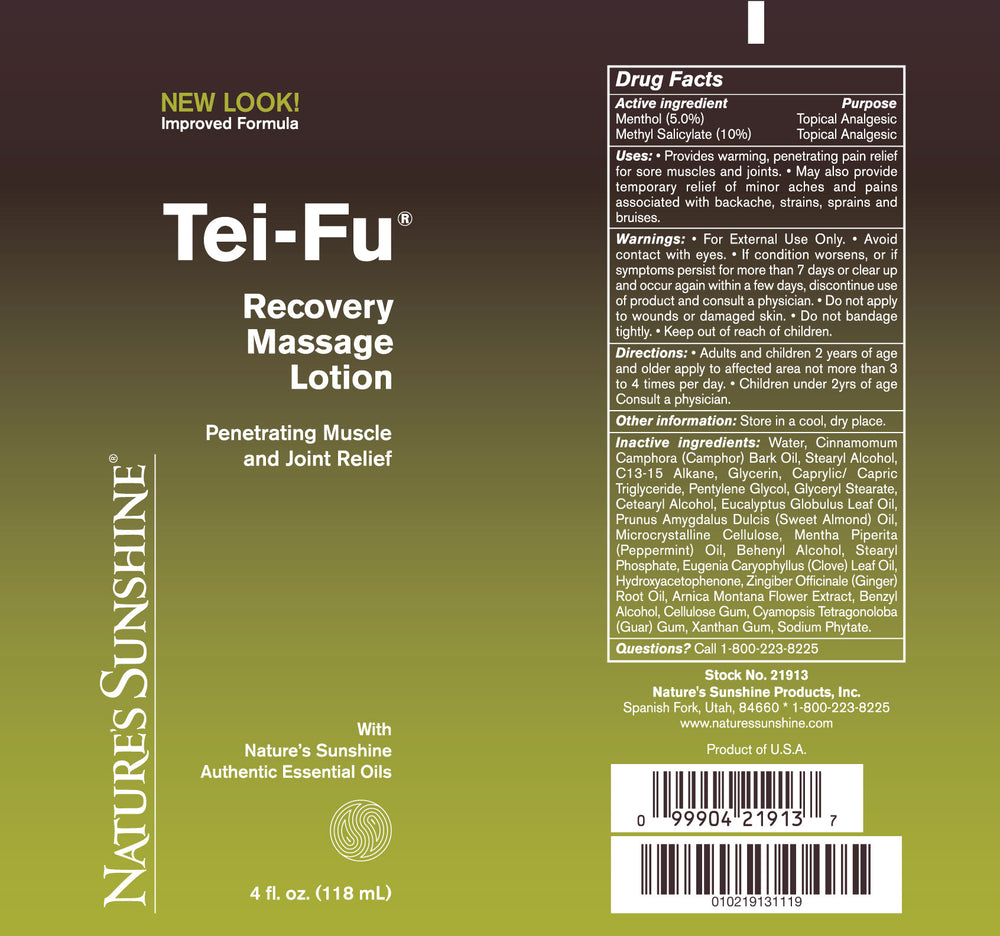 
                
                    Load image into Gallery viewer, Tei-Fu Recovery Massage Lotion (4 oz)
                
            