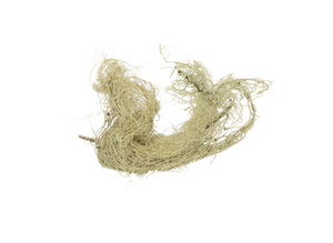 
                
                    Load image into Gallery viewer, Usnea Lichen Whole
                
            