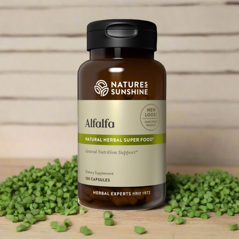 Alfalfa’s deep root system provides the leaves and aerial parts with a rich source of nutrients including chlorophyll, calcium, carotene and vitamin K, making it a valuable nutritive herb. Chlorophyll has been found to have an alkalising effect on the body.