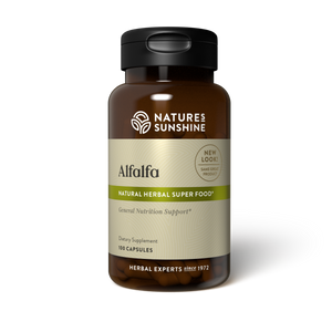 Alfalfa’s deep root system provides the leaves and aerial parts with a rich source of nutrients including chlorophyll, calcium, carotene and vitamin K, making it a valuable nutritive herb. Chlorophyll has been found to have an alkalising effect on the body.