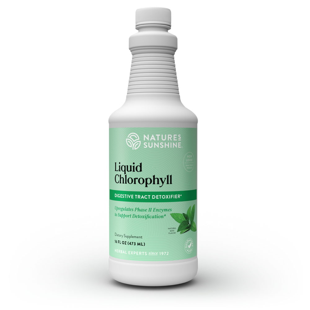 Liquid Chlorophyll by Nature's Sunshine