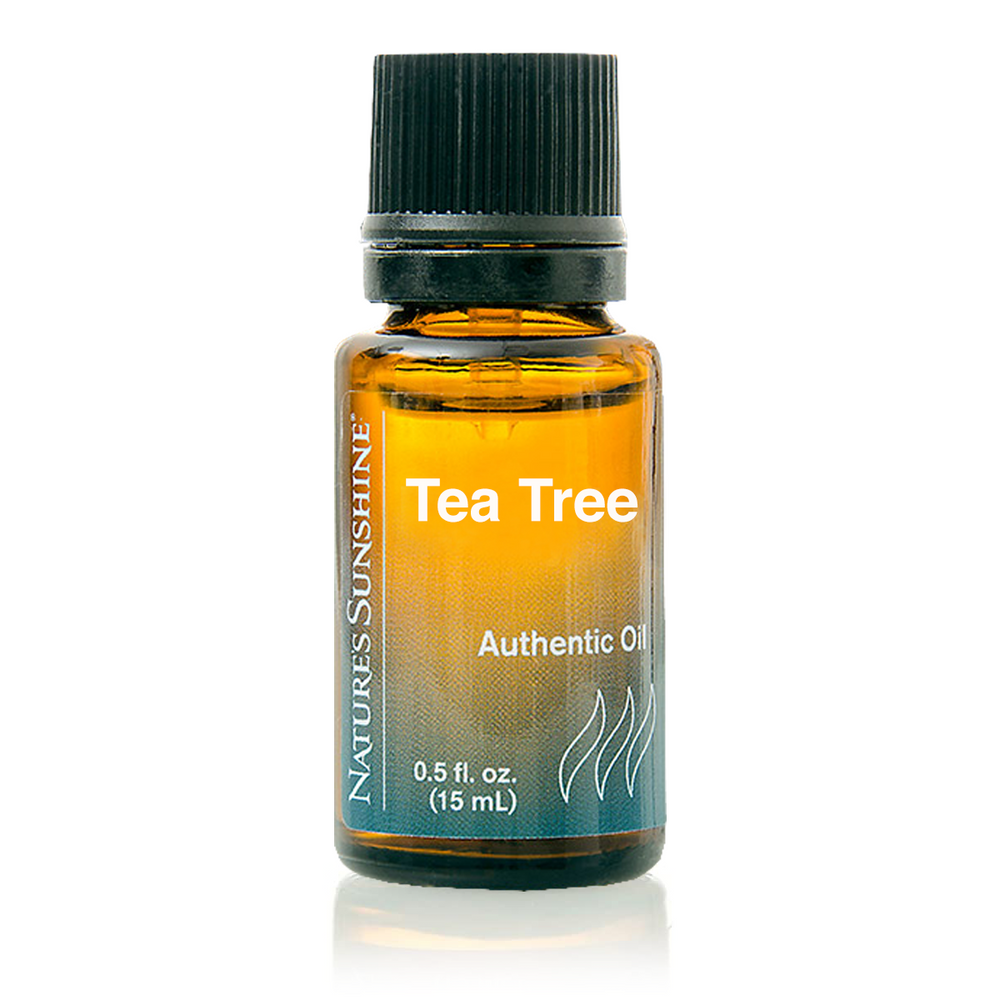 The clean, sharp aroma of Tea Tree Essential Oil is described as invigorating and restoring. Many use it topically for its cleansing properties.